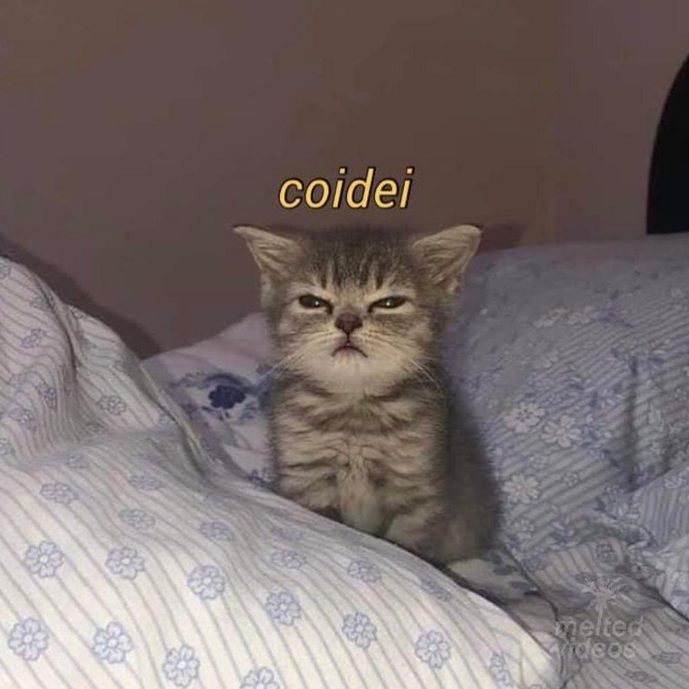 Fora renato
