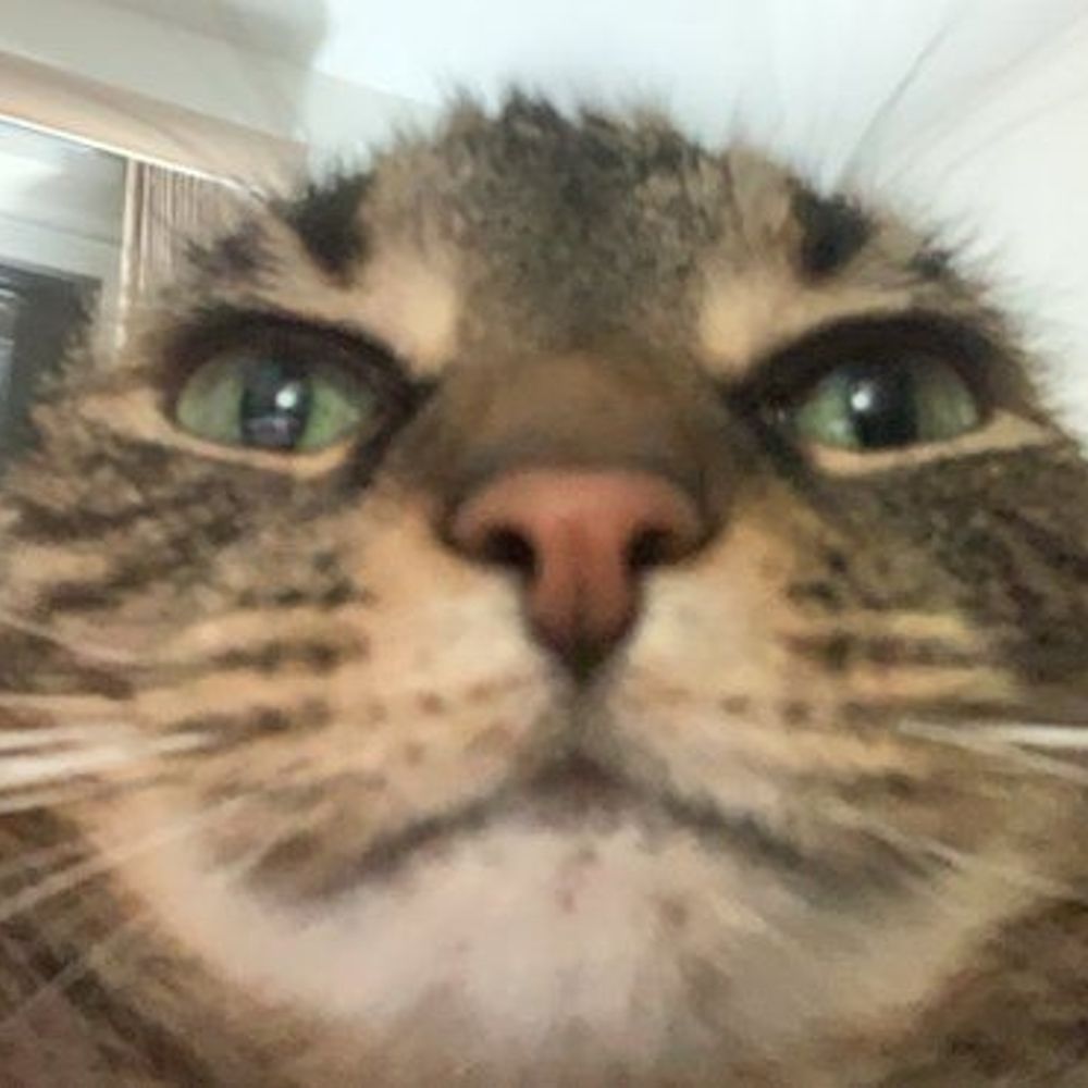 QQ