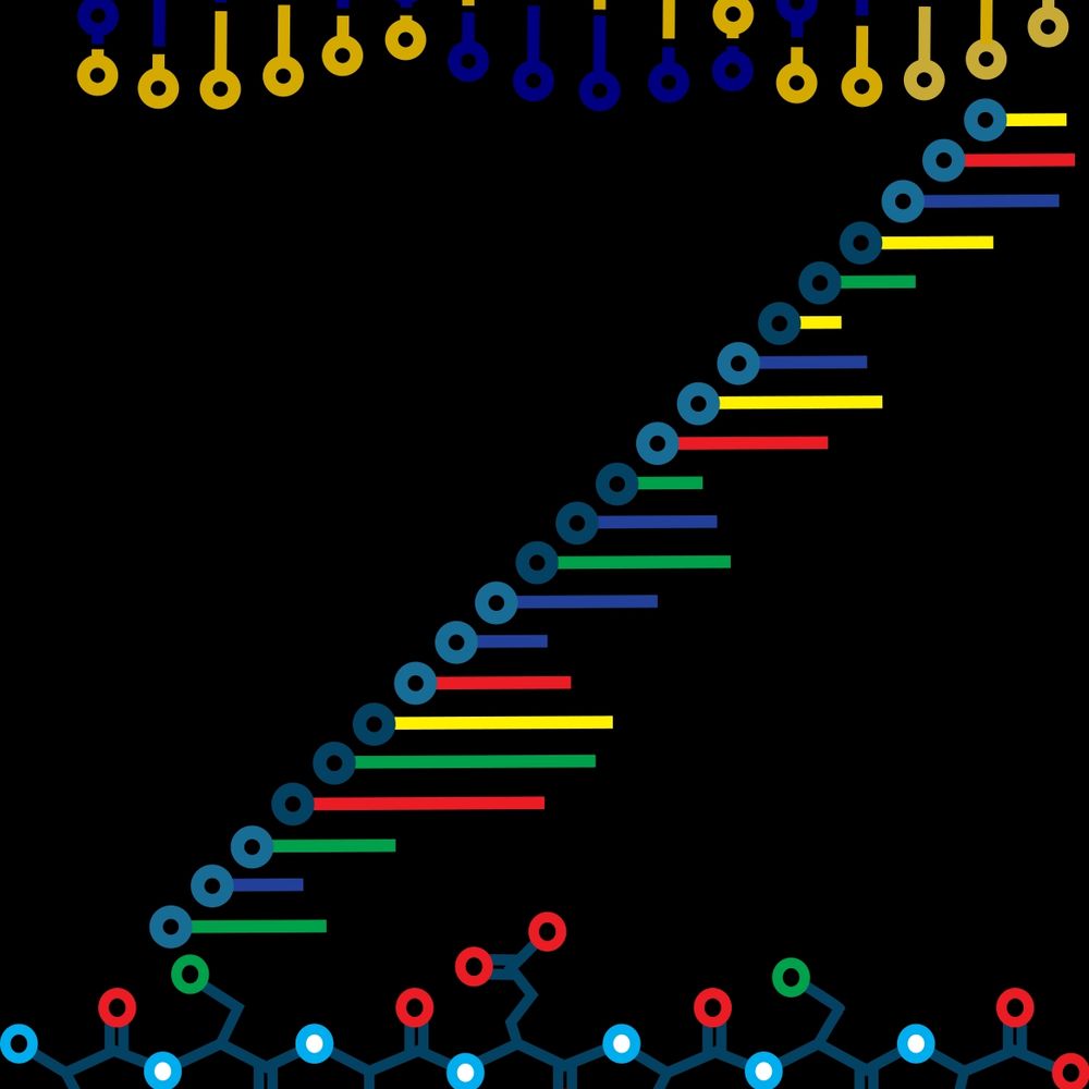 Zid Lab