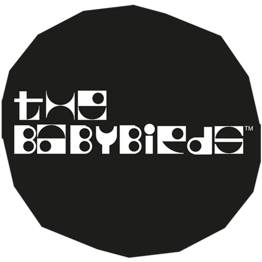 The Babybirds Studio