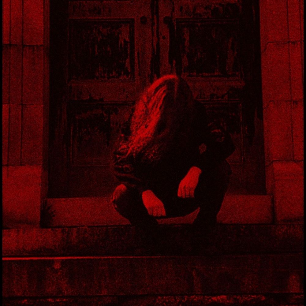 invultation.bsky.social profile picture
