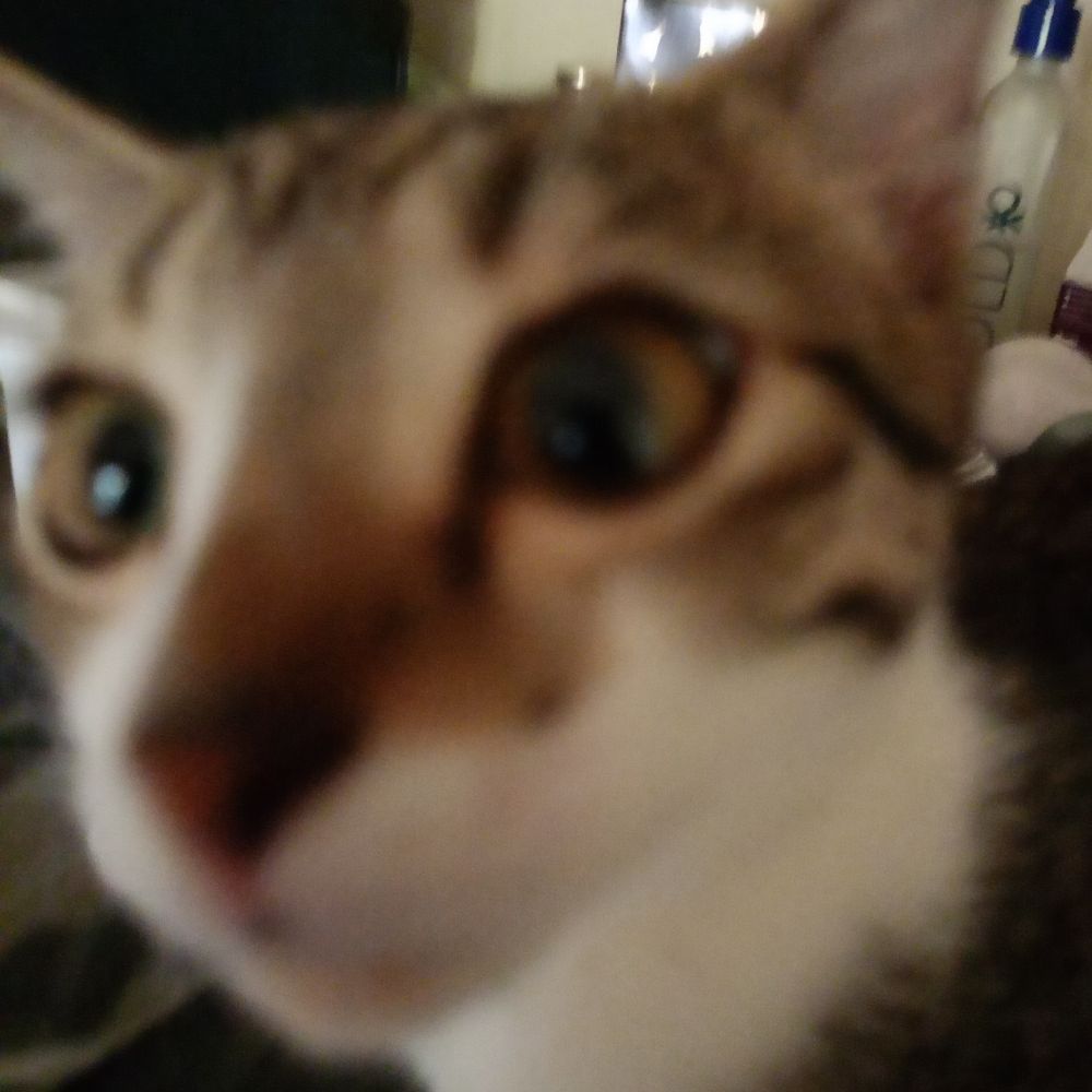 spook