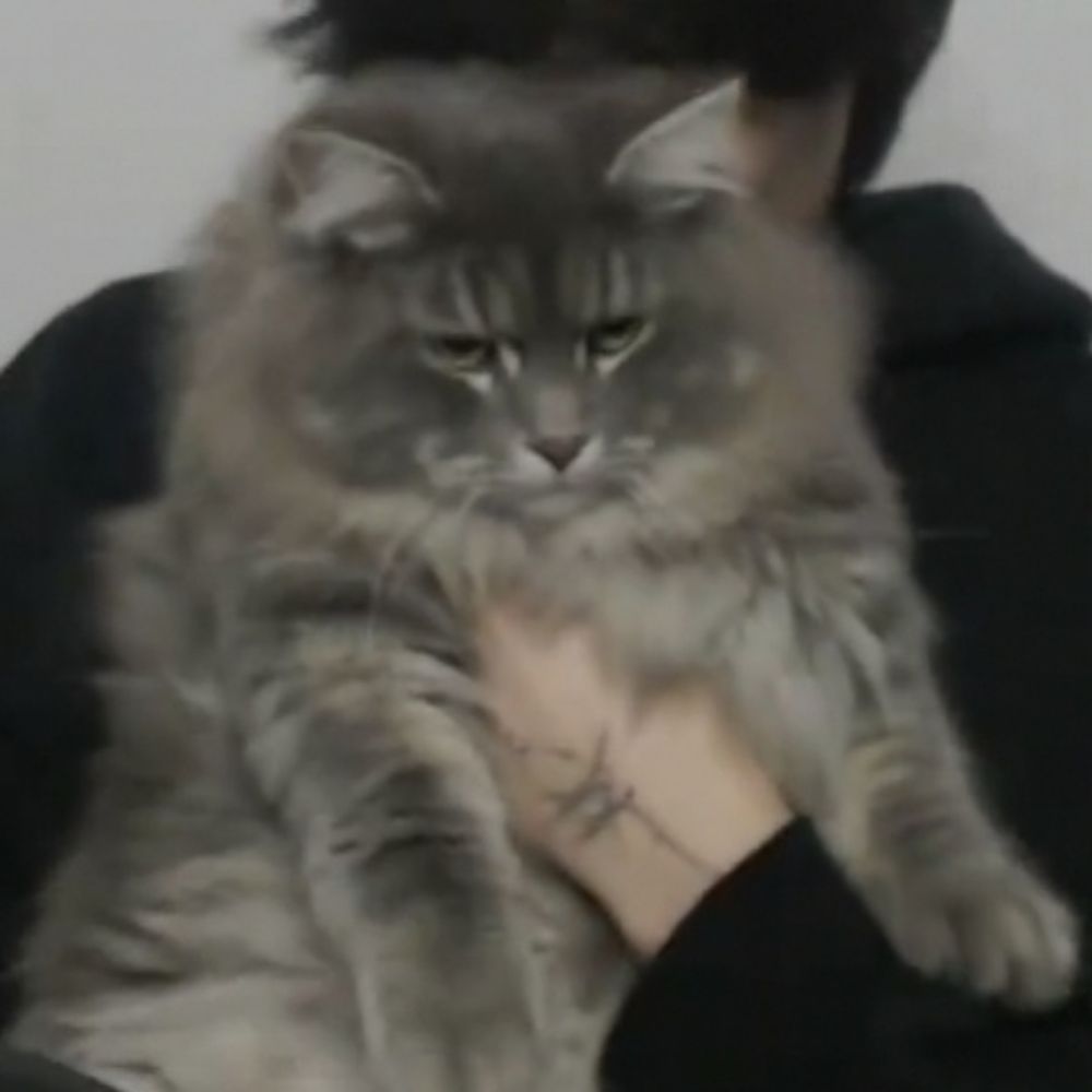 nad