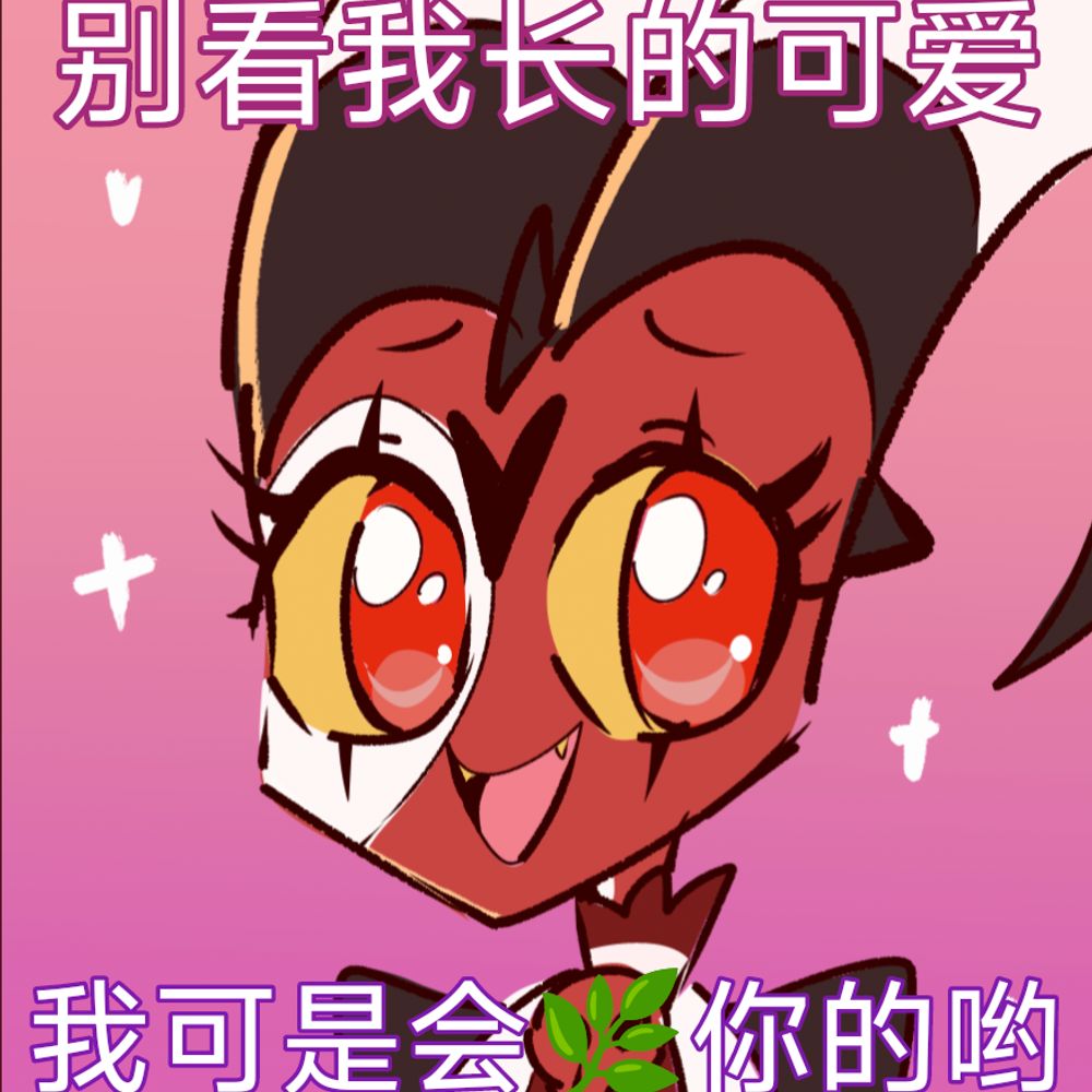 Macchi