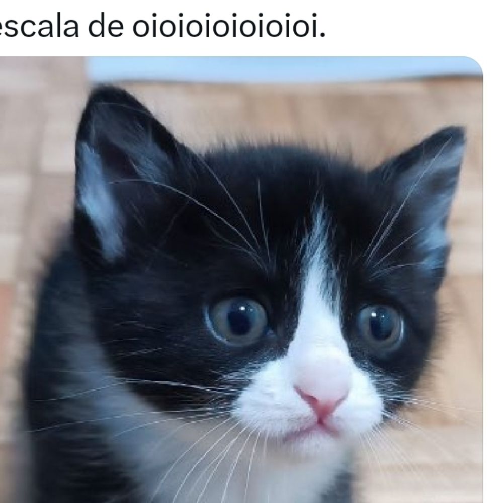 Natygato