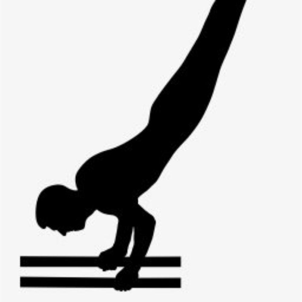 Jim_Nastics