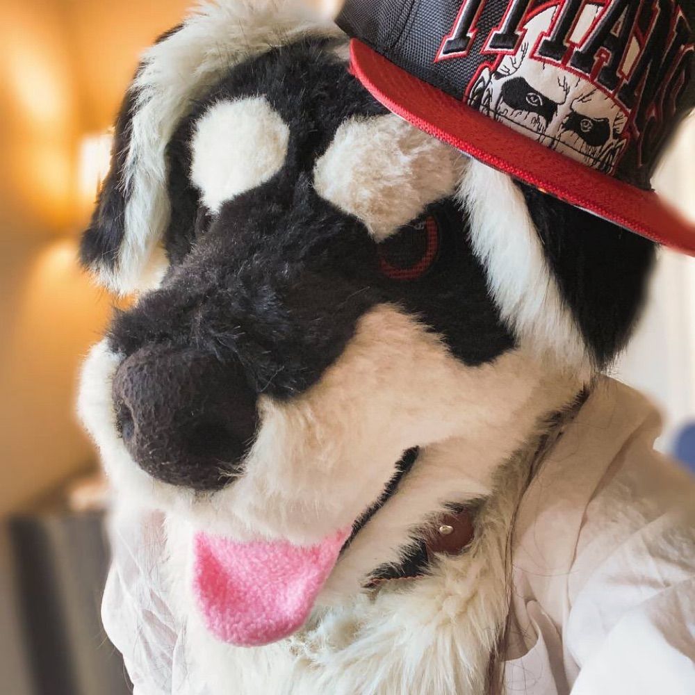 Pup_Jesse🐶♿️(he/him)