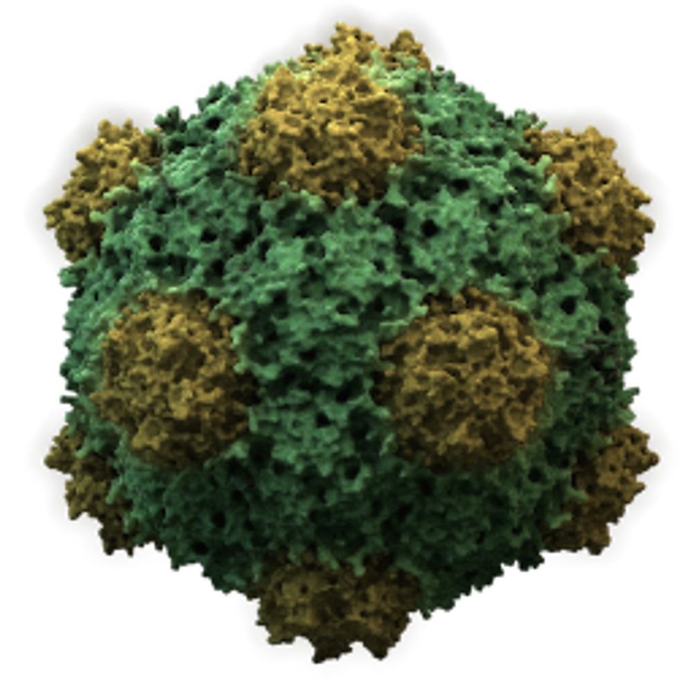 CRISPR News