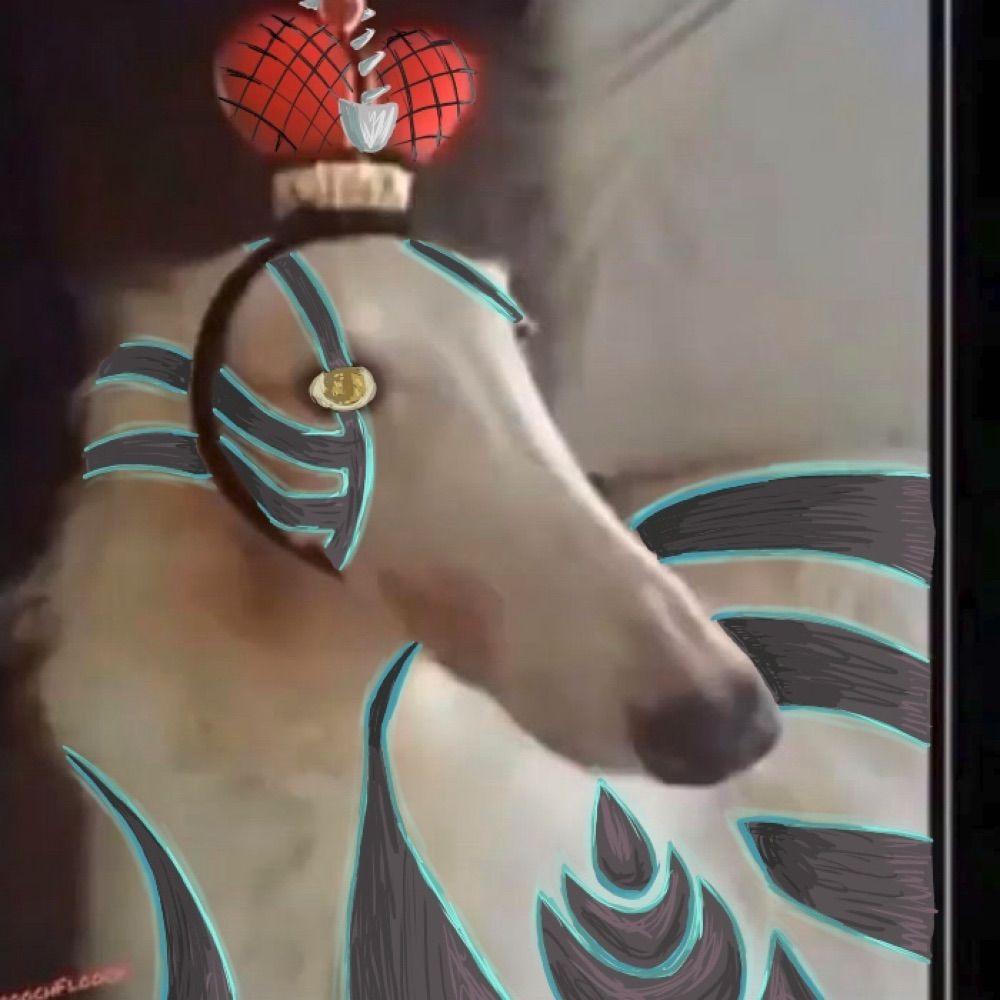 The Demi-Foog