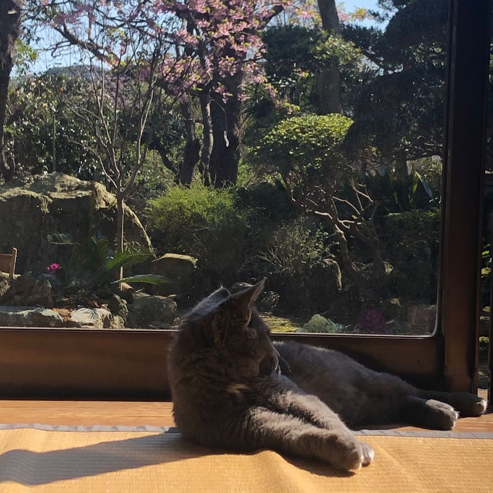 かせ
