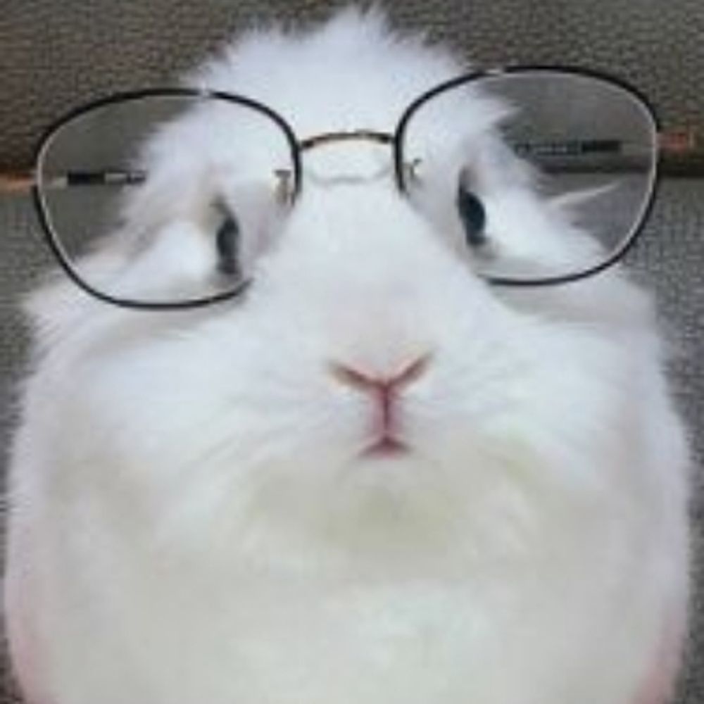 ぱち