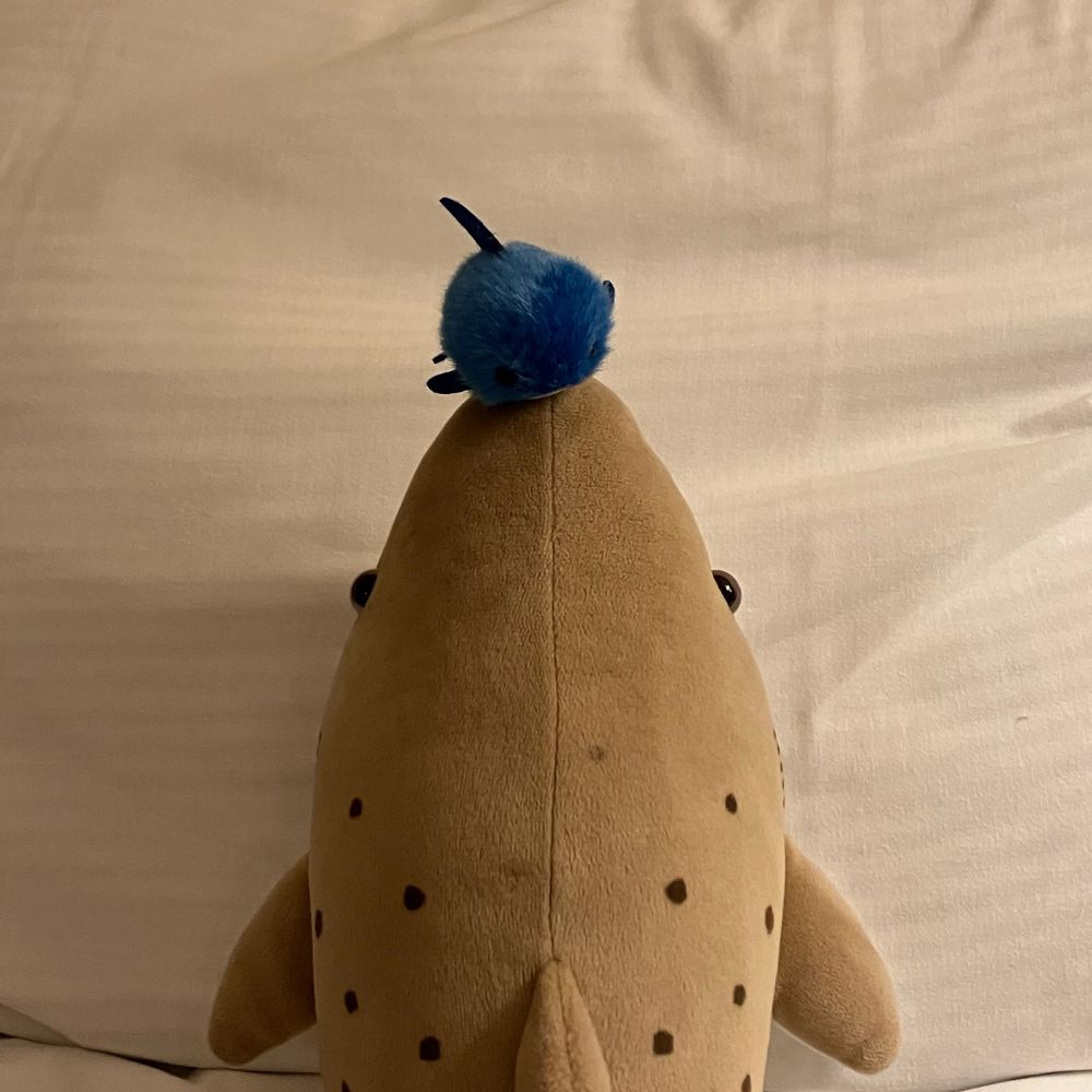 ﾑｯﾍﾟとさめち