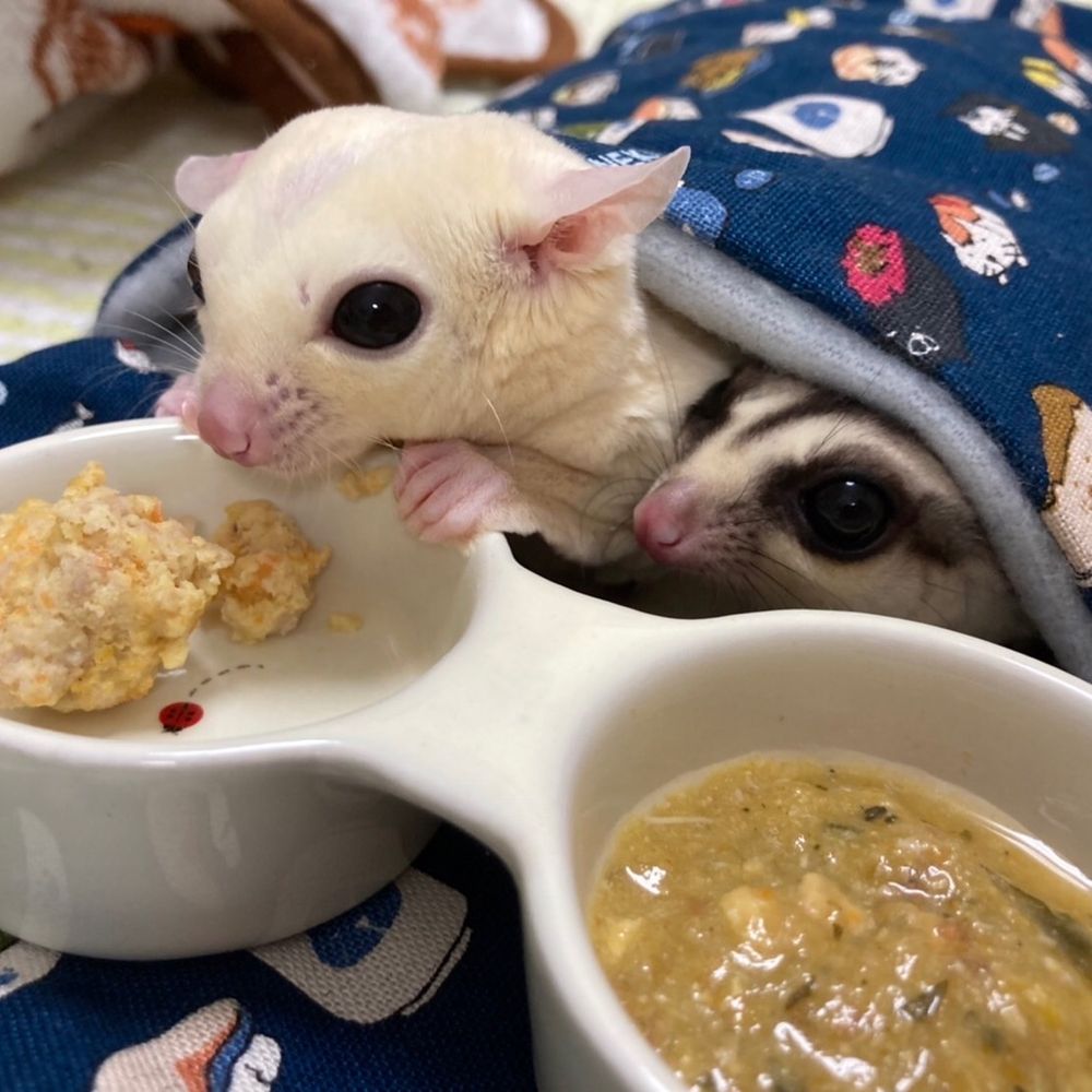 ほーすけ