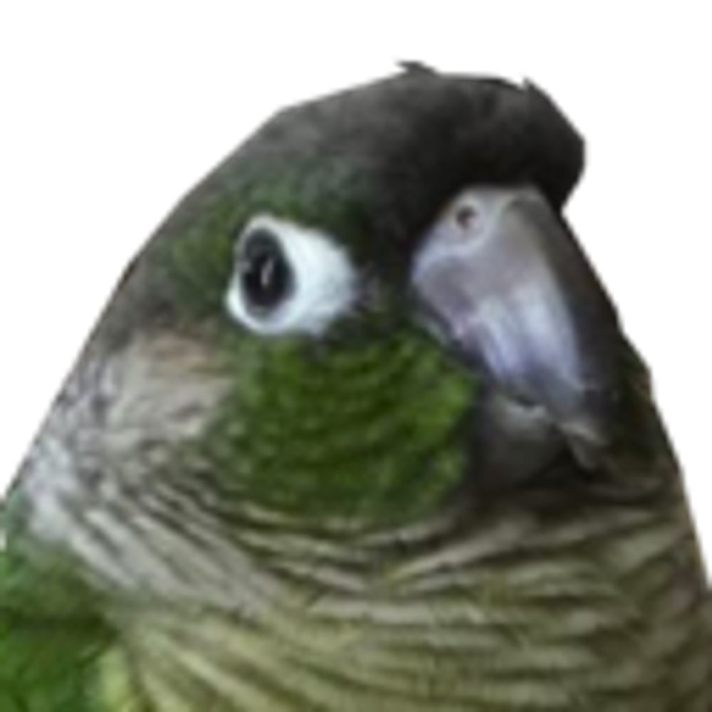 Zambini