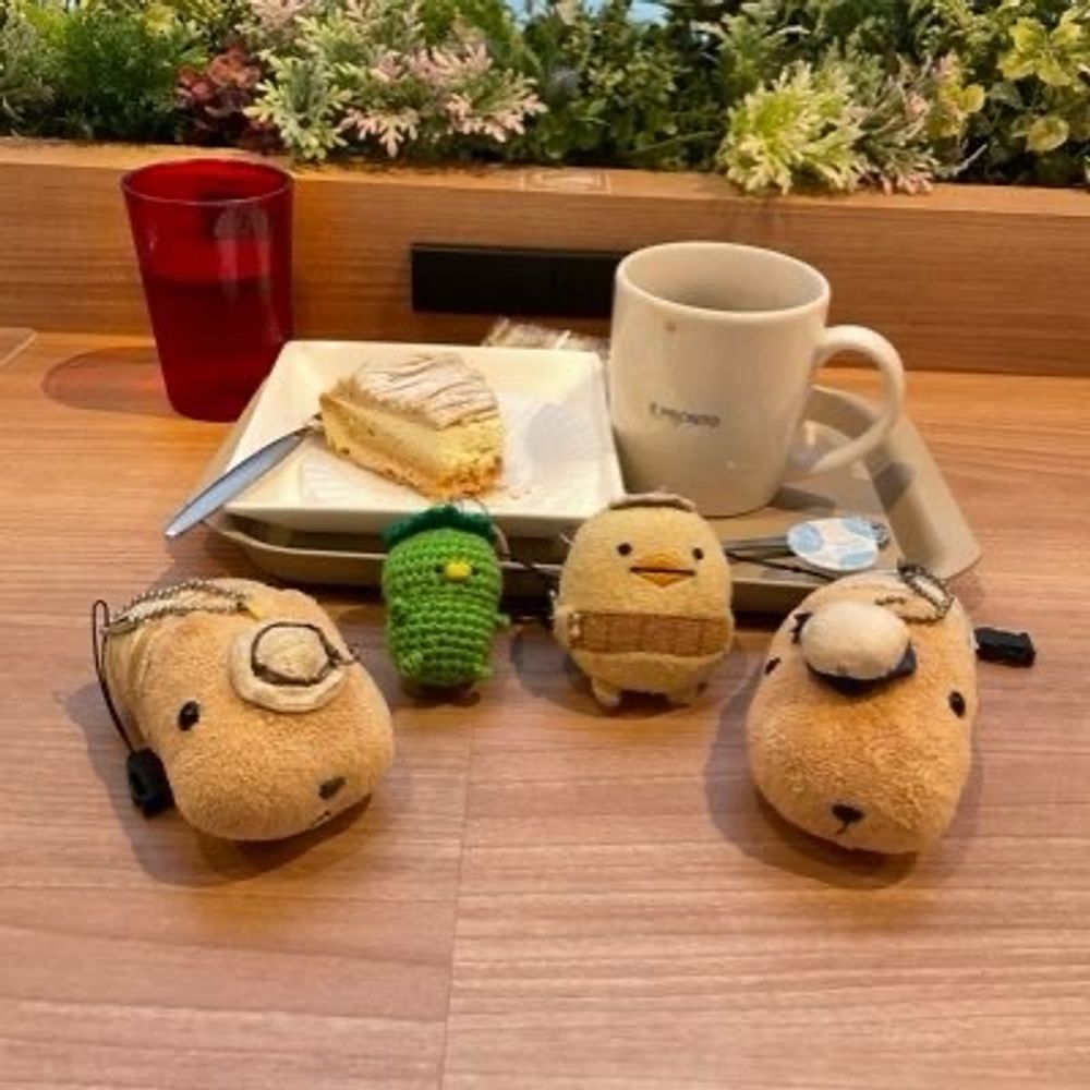 モフカピとお出かけ隊
