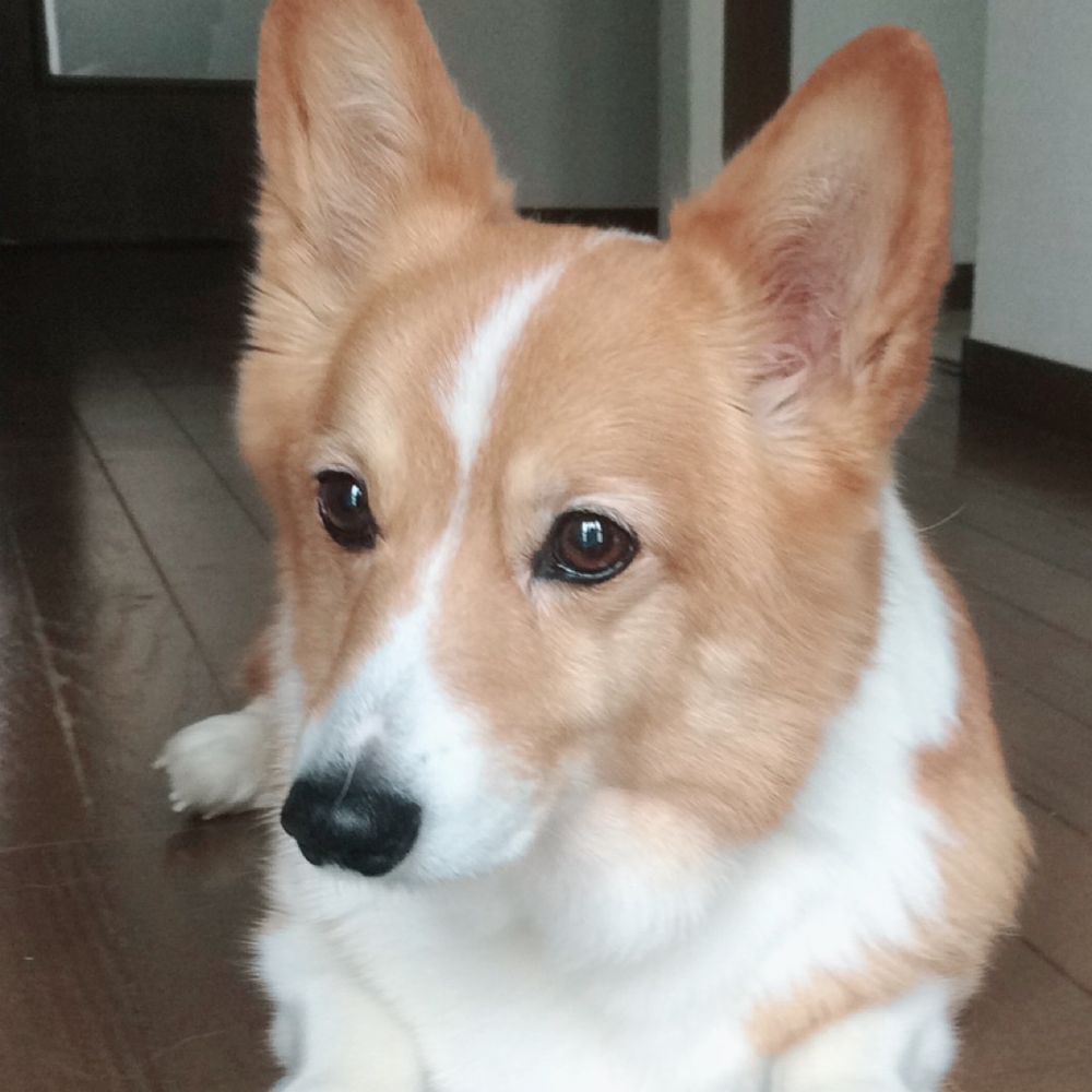 こー
