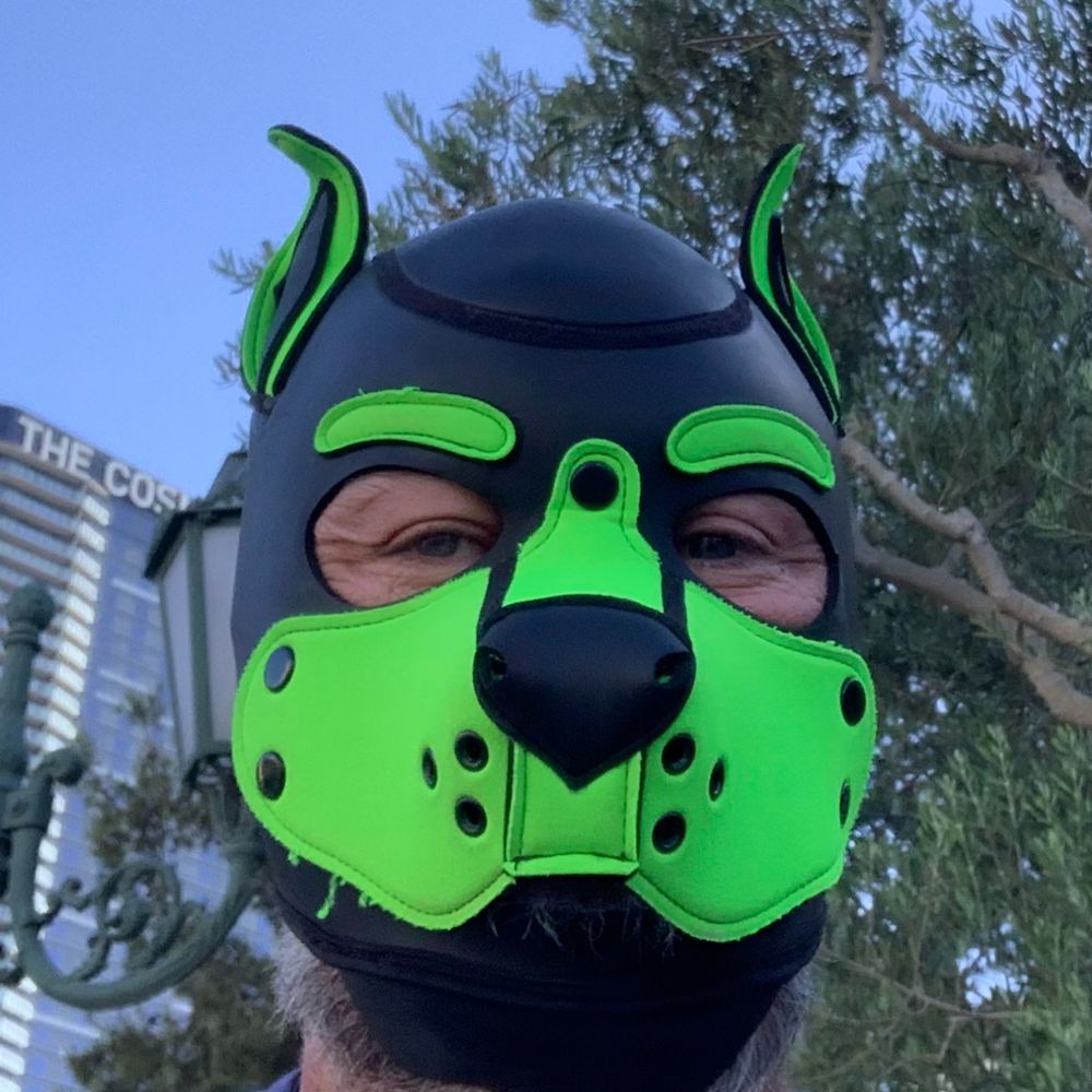 PUPJER