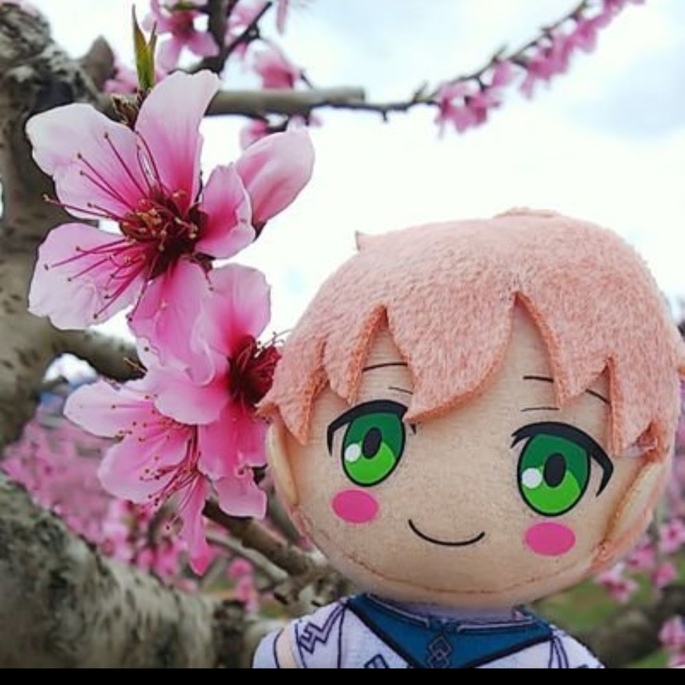 ミズキ