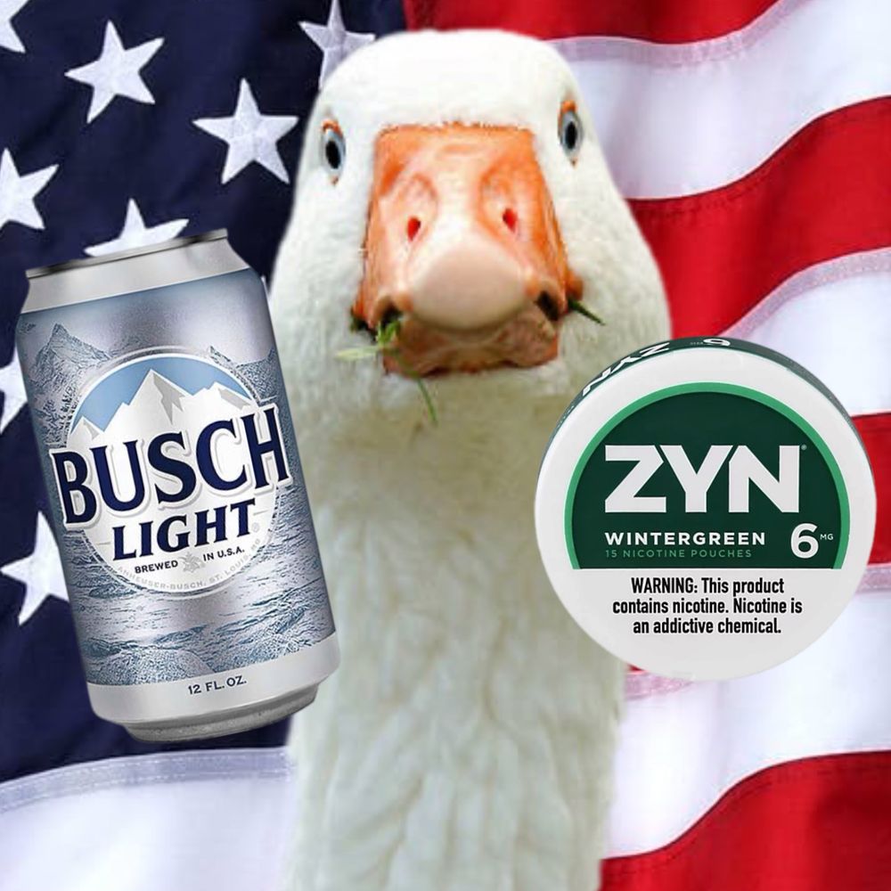 Goose Patriot