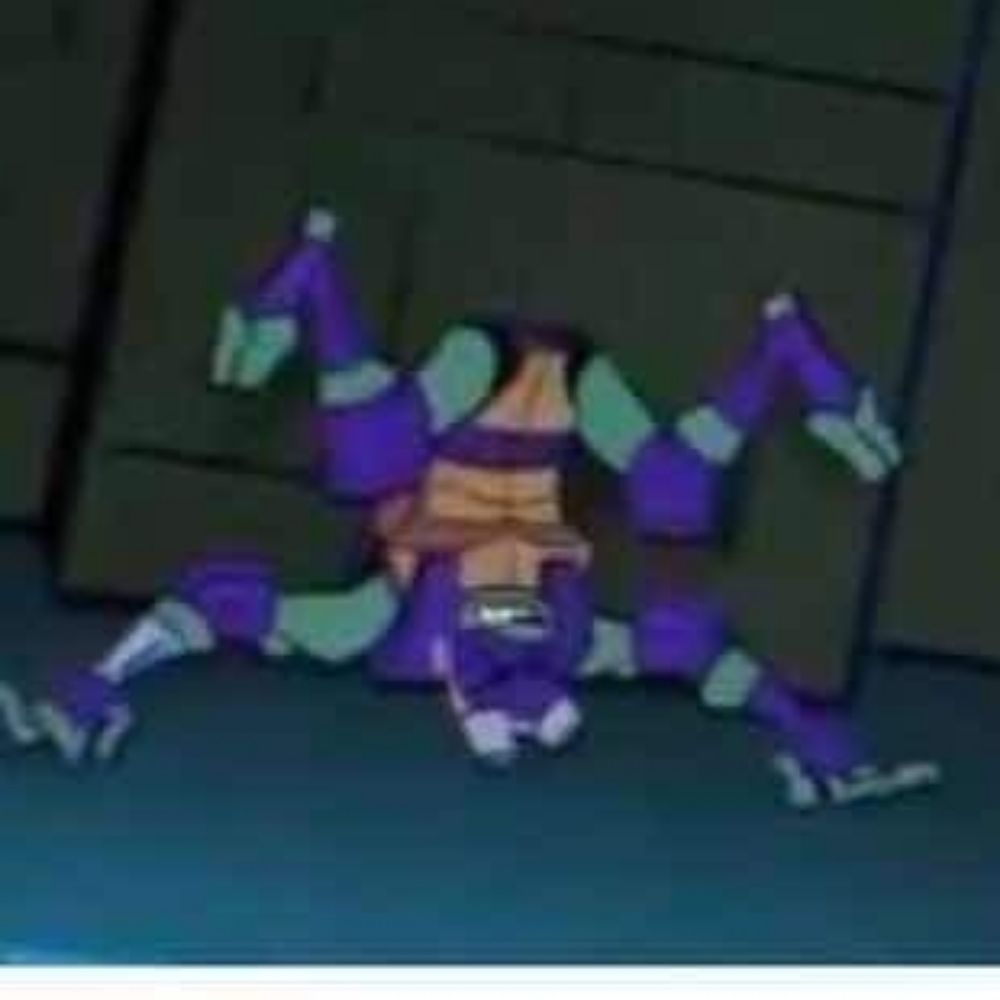 wow these turts gay