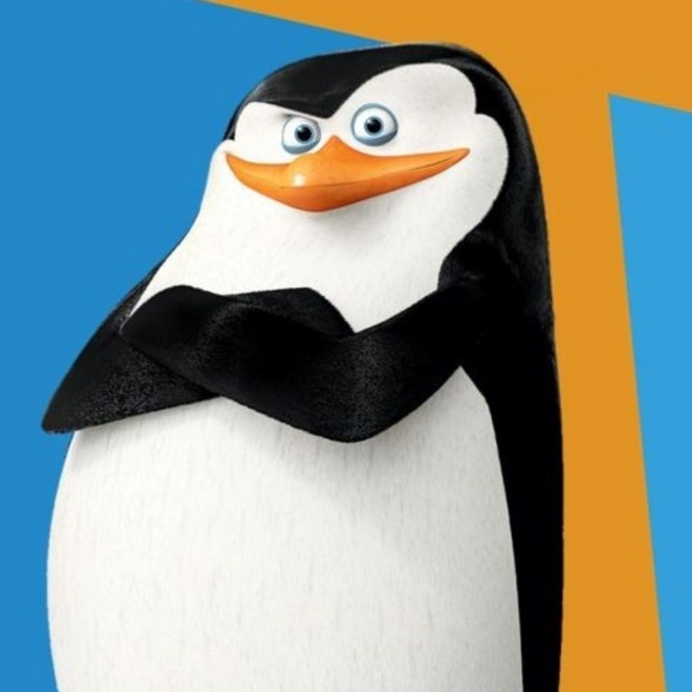 Skipper ( Editon البطريق الحائر )