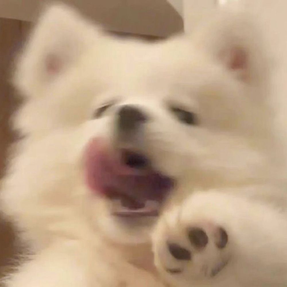 晚間停留