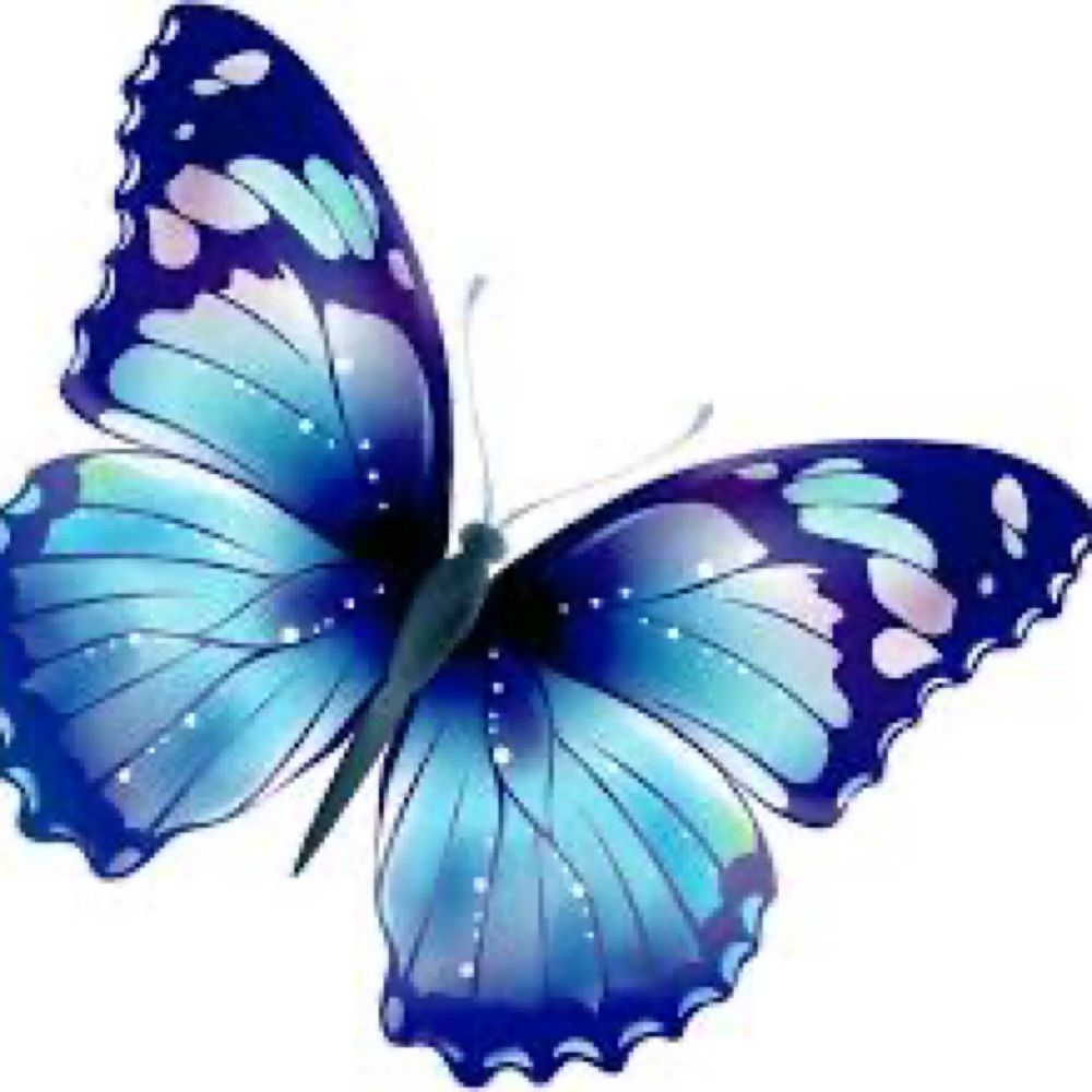 Profile picture butterflyhihi.bsky.social