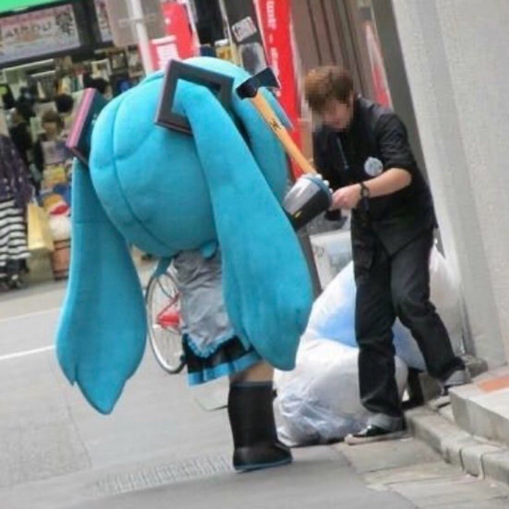 Donk
