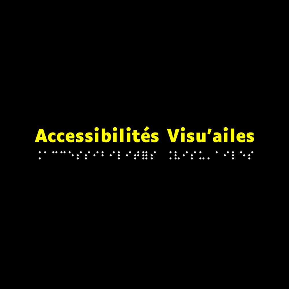 Association Accessibilités Visu’ailes