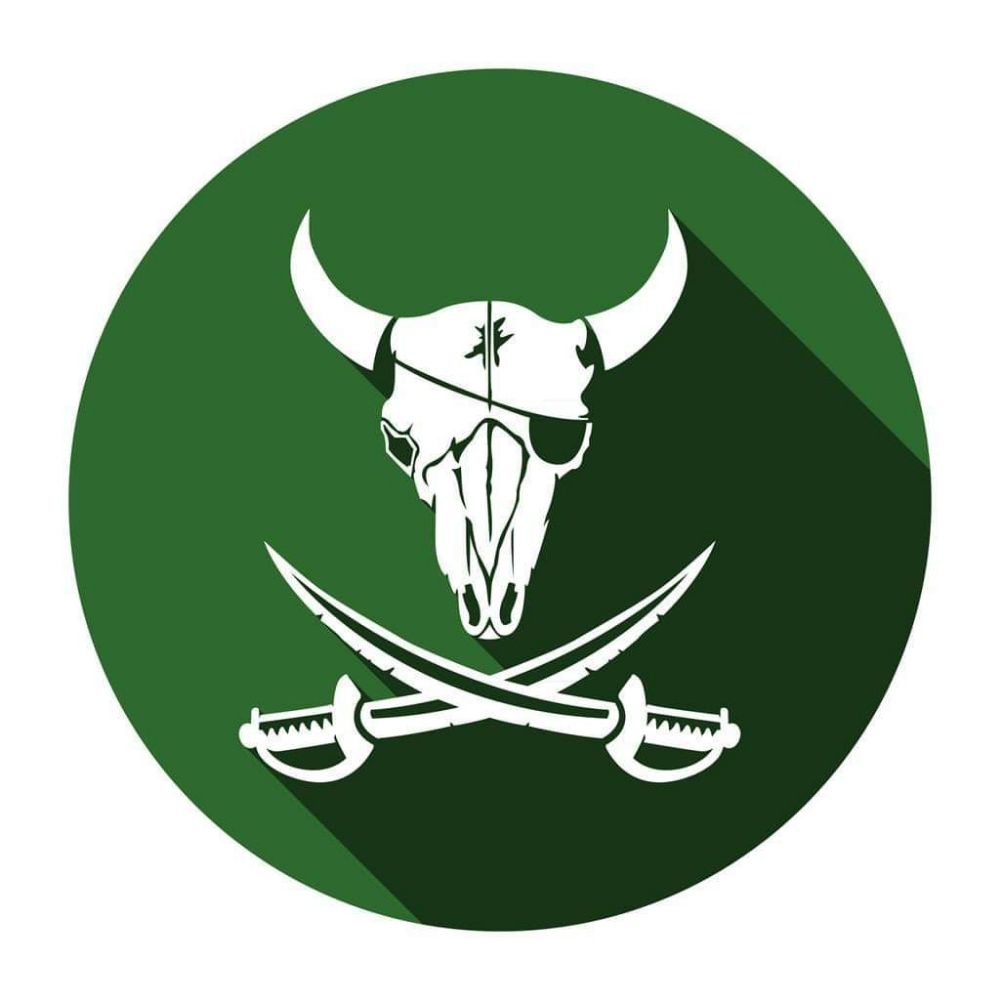 Men's Ultimate Club at USF