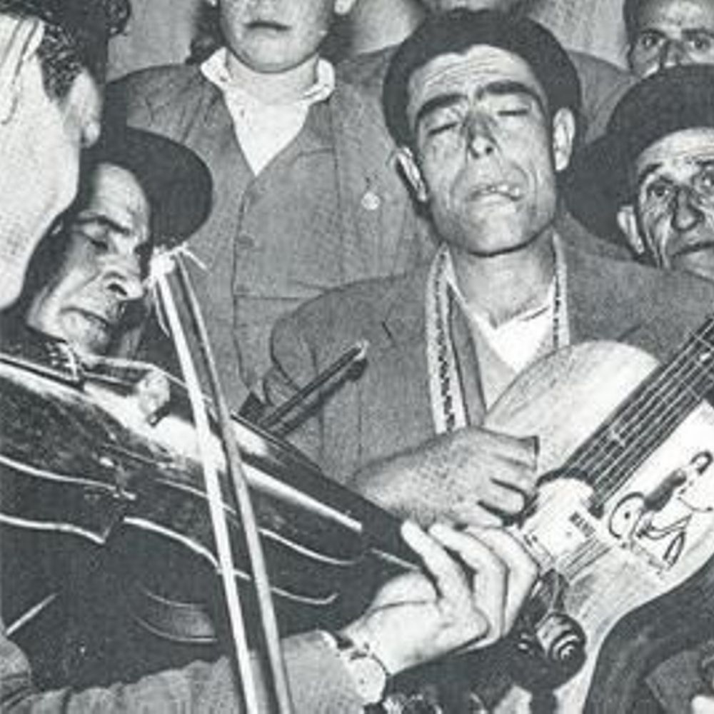 El bluitero trovero
