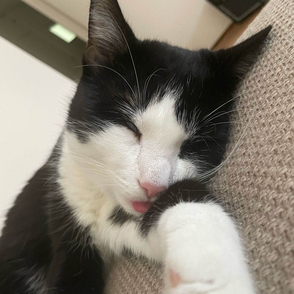 Undefined in the NaN NoMethodError
