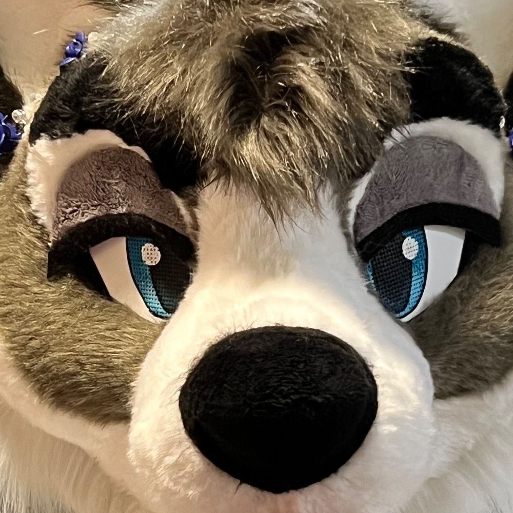 Zoey Wusky 💙💕🤍💕💙