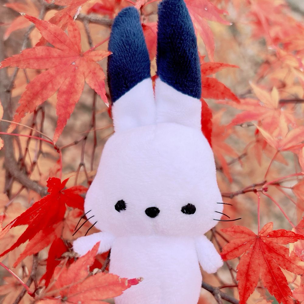 えりんぎ