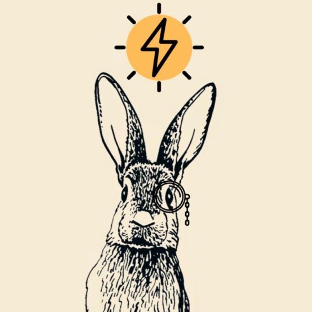 The Wise Rabbit 🐰⚡️