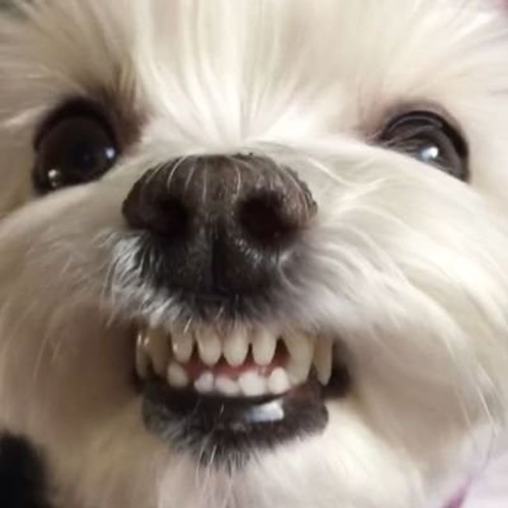 와와