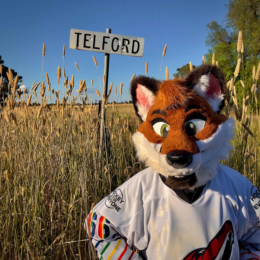 Telford 🦊 Fox's avatar