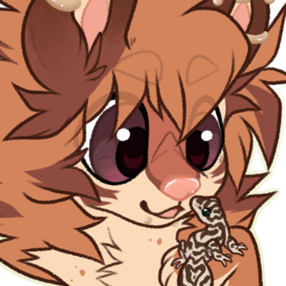LilThimble