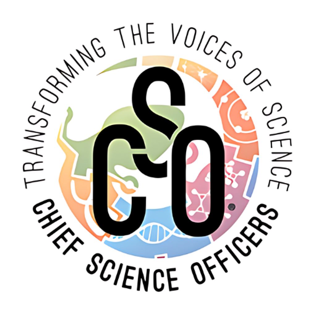 CSO International