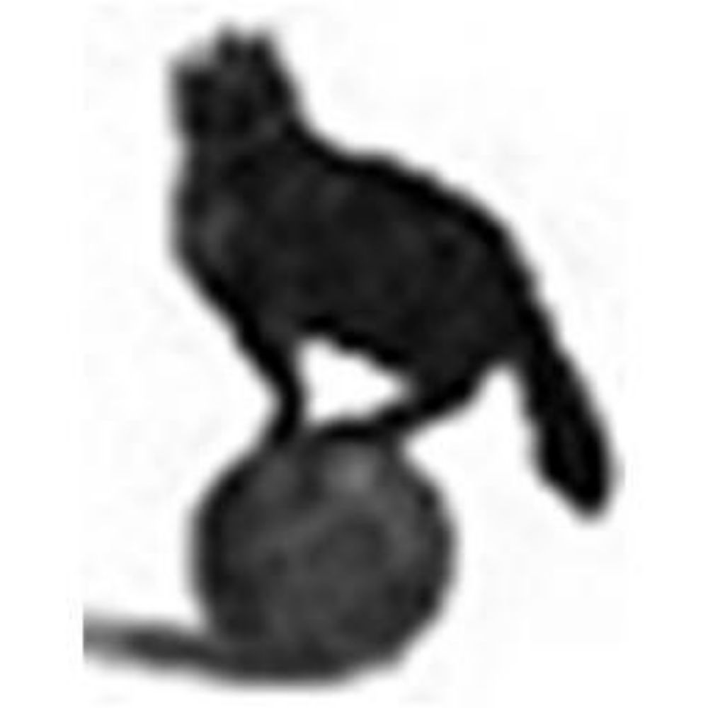 TheStatCat