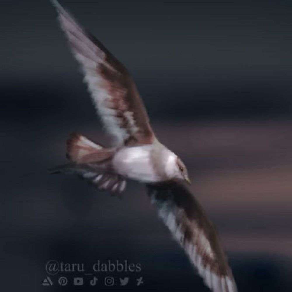 taru_dabbles