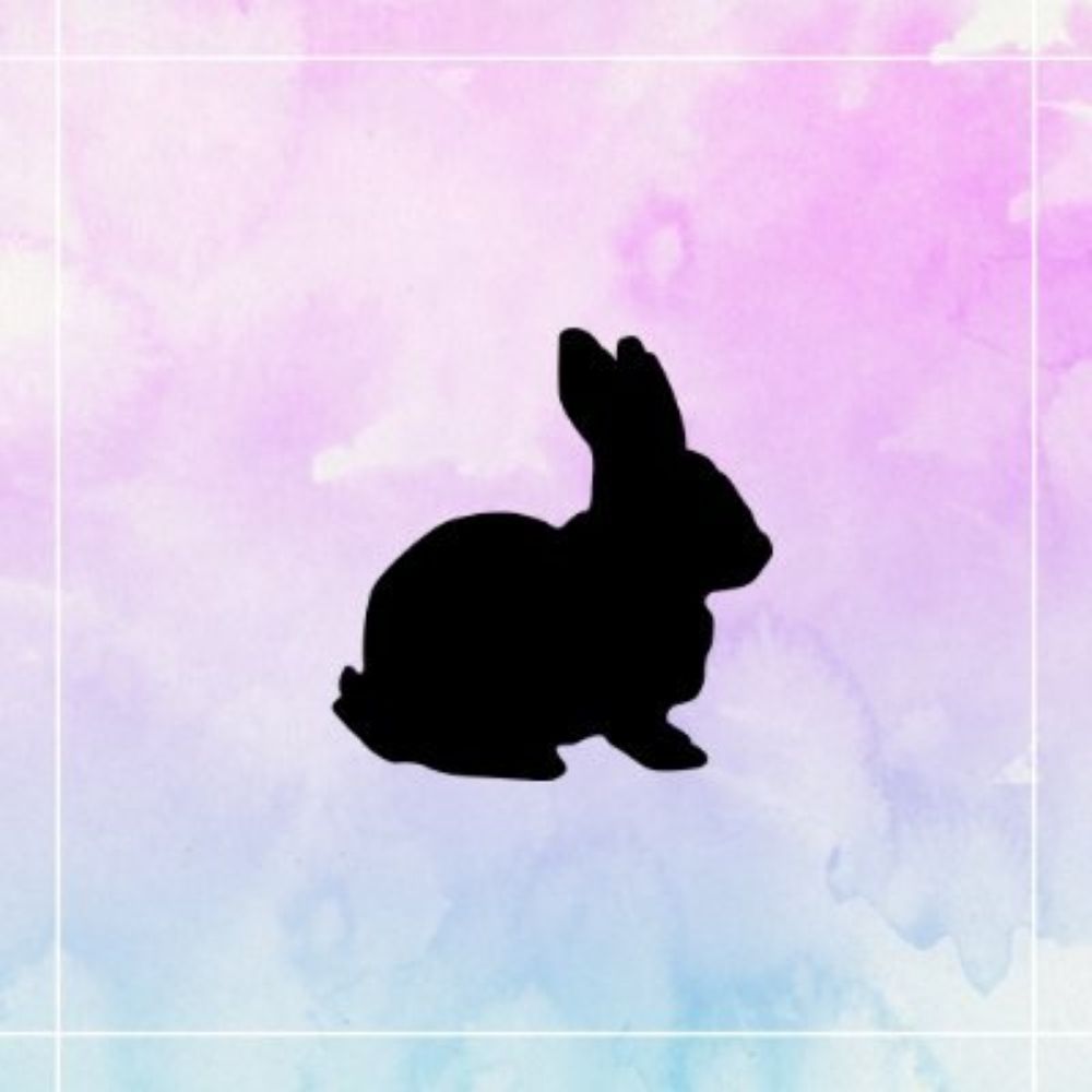 らーゆ🎲🐇
