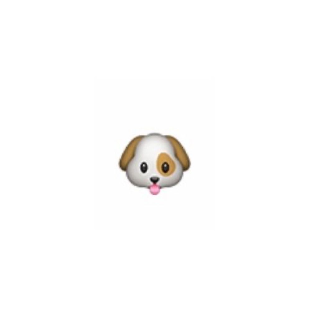 o0🐶0o