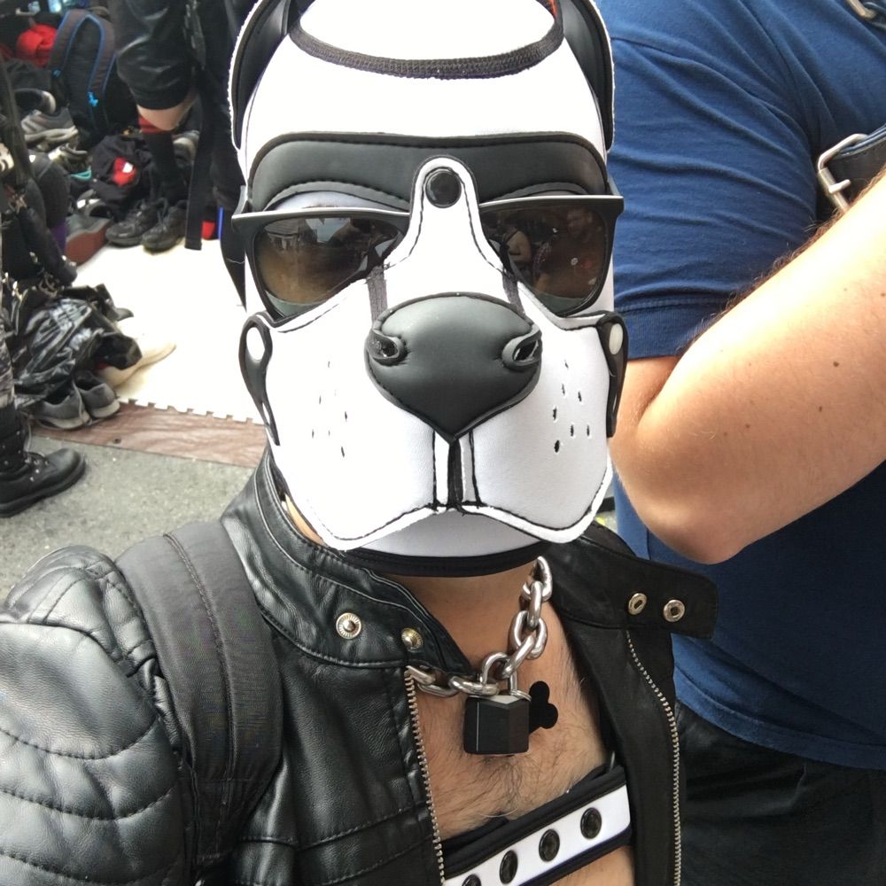 Pup Gradient