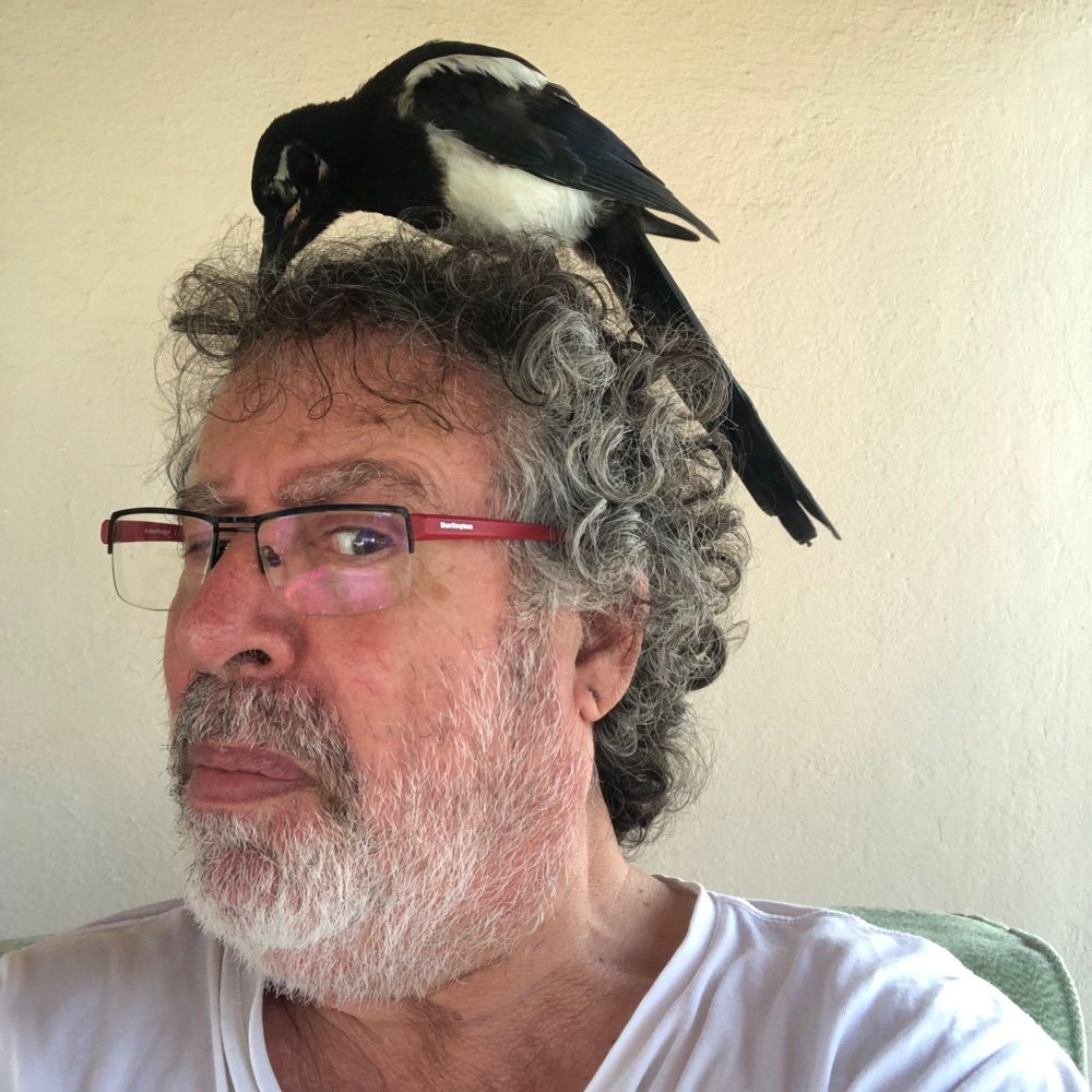 Ufuk Akarı