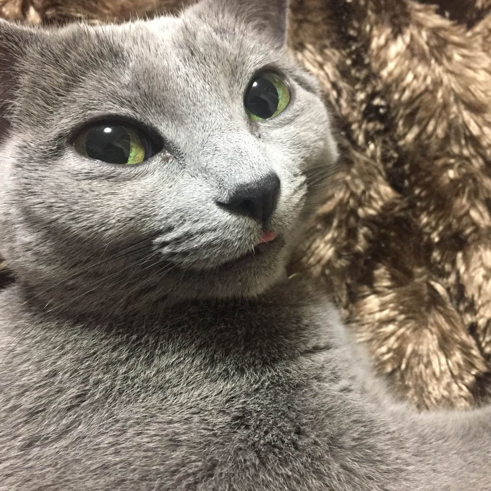 TOM