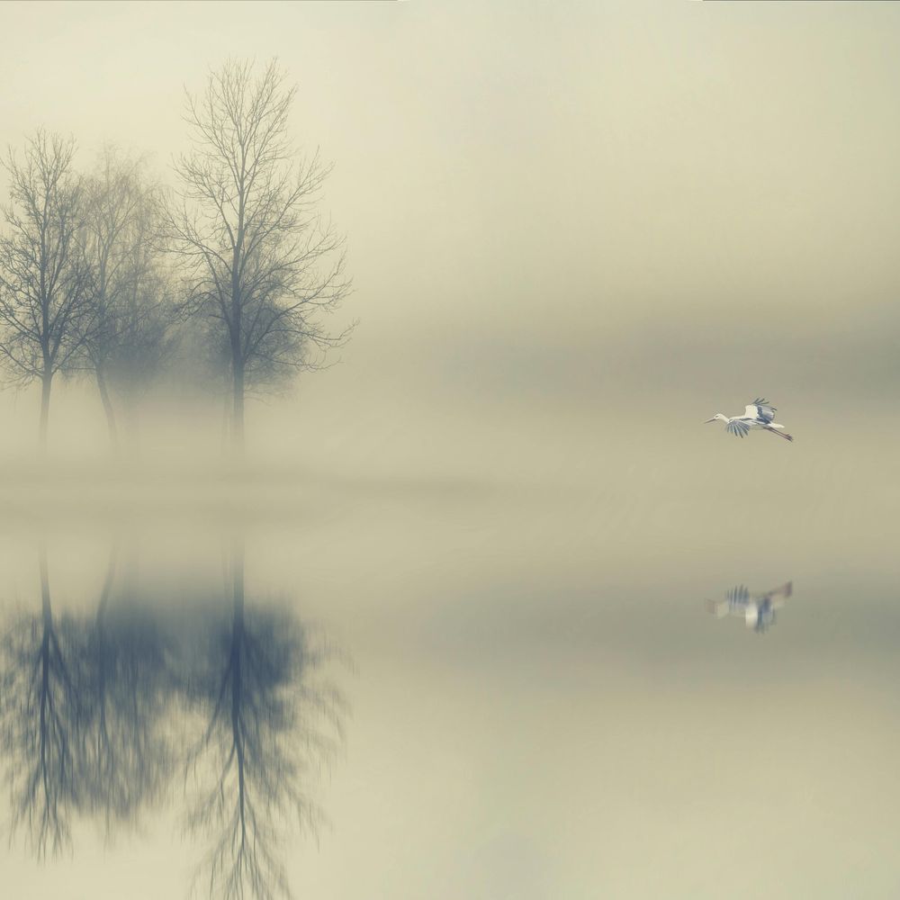 Ayse Sargin