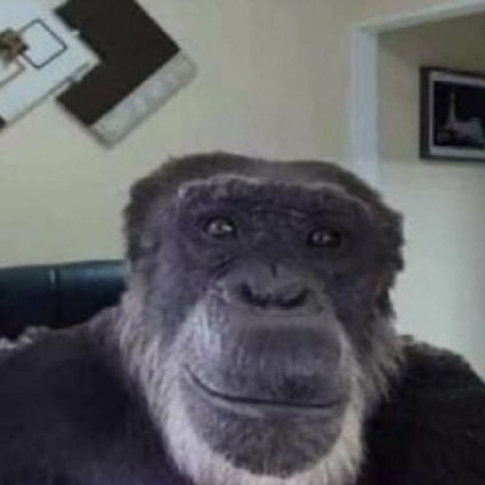 stupid smiling monkey