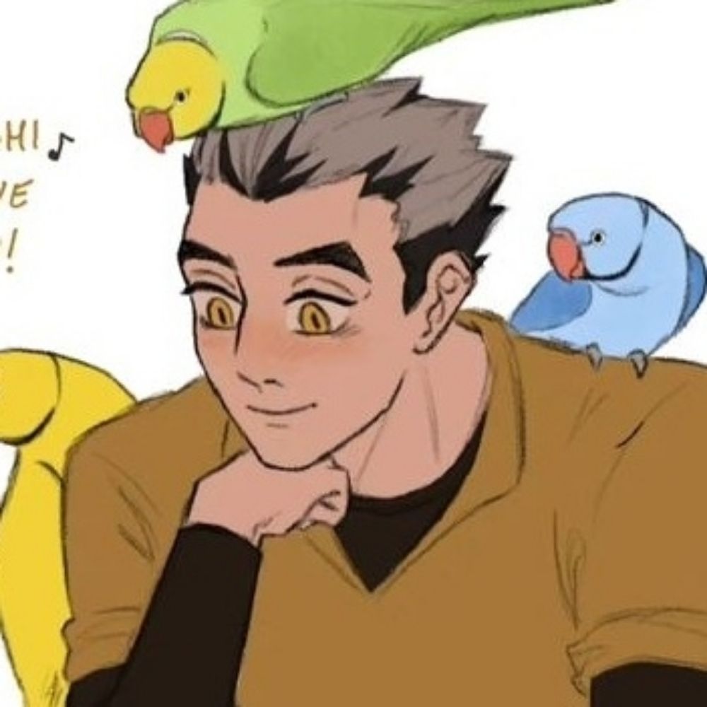 robin