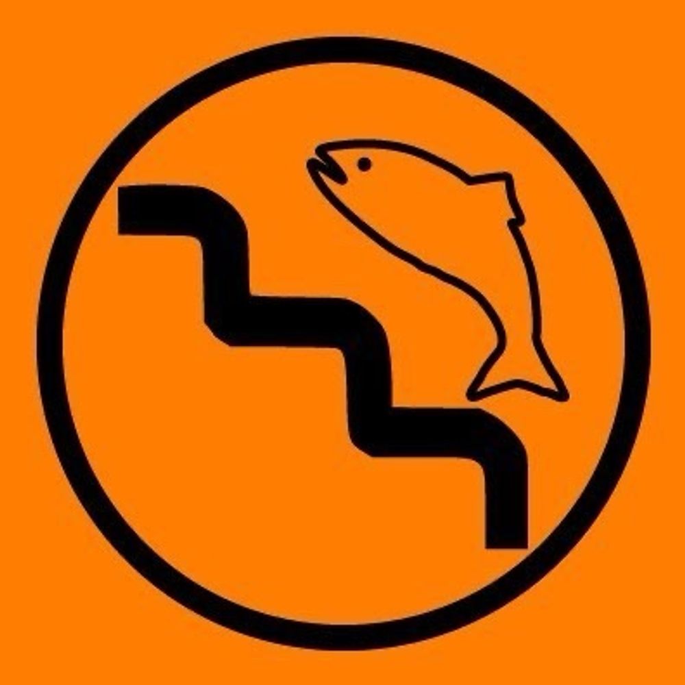 け